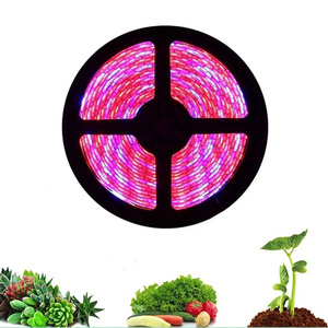 30m <strong>LED</strong> bar Music Synchronization Application Intelligent 12v <strong>LED</strong> Room Decoration 5050 Grow <strong>LED</strong> bar Light - Product Image 3