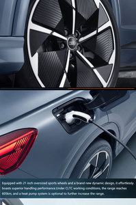 Bir U d I Q4 e-tron 2024 Model 40 e-tron yaratıcı baskı - Product Image 5