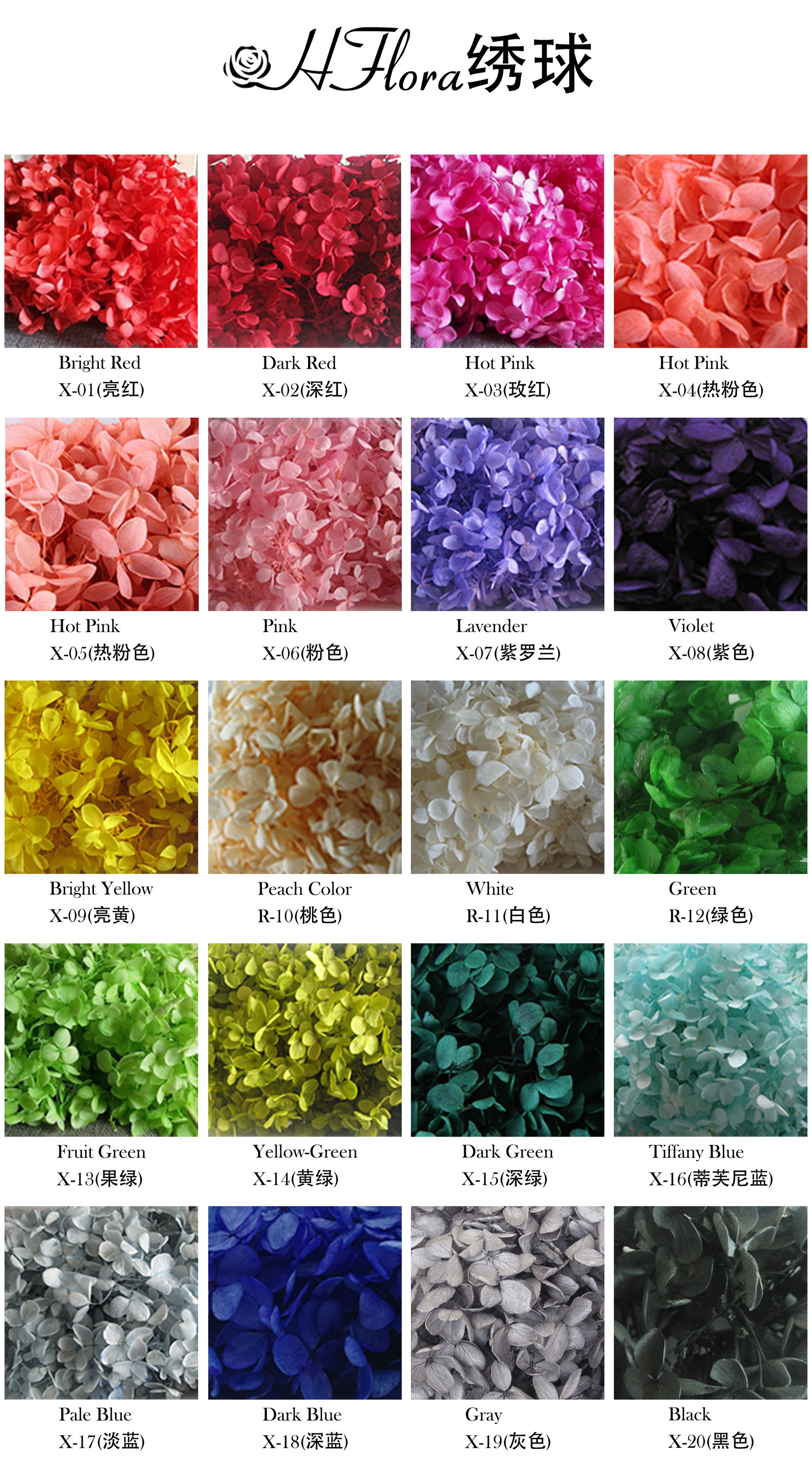 carta de colores 2