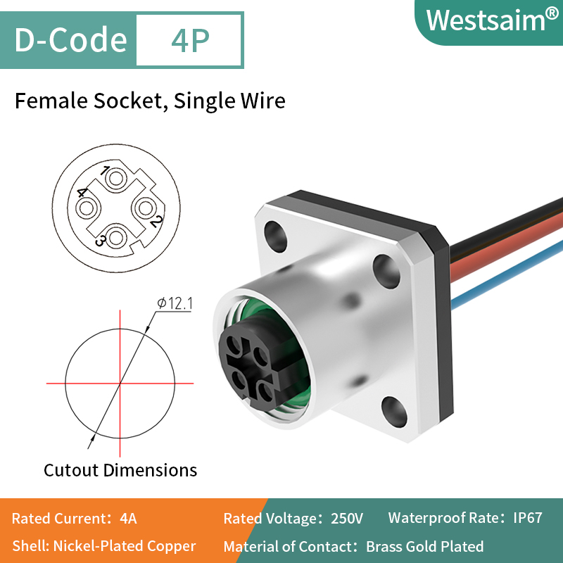 Femelle M12-D-4