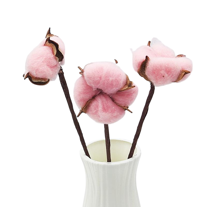 Millennium Pink