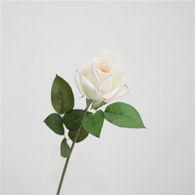 Single sprig kate rose-milk powder