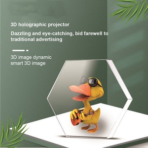 3D holografik ekran LED Fan reklam Hologram projektör 240V Video resim özel düzenleme görüntü ekran - Product Image 4
