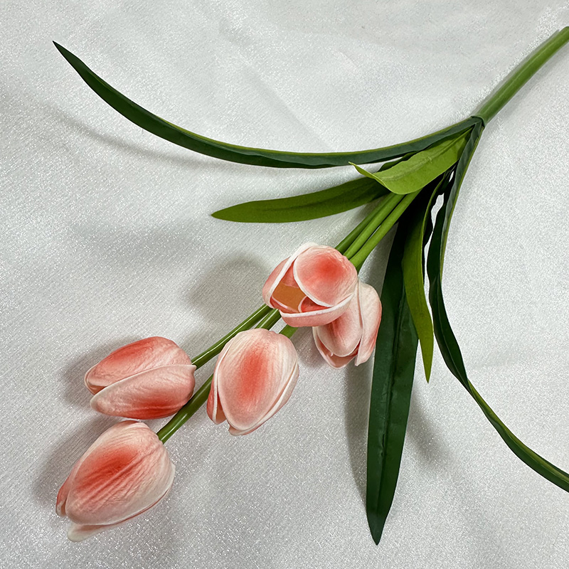 rose pastèque