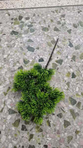 J-0610 Nhà Máy Thực Tế Nhân Tạo Cây Thông Chi Nhánh Bonsai Thông Cây Bách Xù Thông Vườn Cây Với Kim - Product Image 6