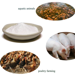 Nuôi trồng thủy sản mật axit gan bảo vệ chống căng thẳng cho cá & tôm, thúc đẩy sức khỏe gan - Product Image 5