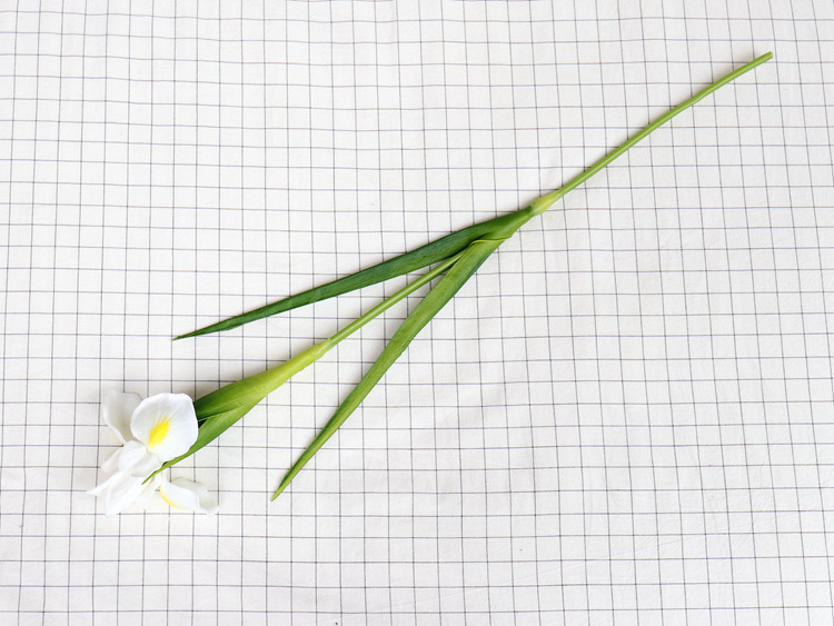 Blanc