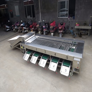 Long Service Life Plum Date Potato Sorter Avocado Grading Machine <strong>Apples</strong> Orange Cherry Olivee Cassava Sorting Grader Conveyor Ma - Product Image 3