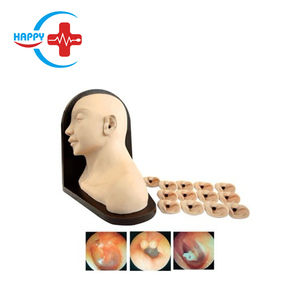 HC-S552 gelişmiş kulak muayene modeli insan silikon dış ve orta kulak modeli - Product Image 2