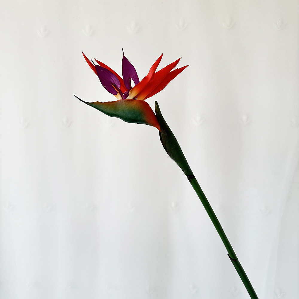 Petit orange-rouge