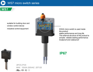 Push Button mikroswitch 4A 25T85 için WS7-DDB250-7604 üretici kaynağı mikro anahtarı su geçirmez IP 67 garaj kapıları için - Product Image 6