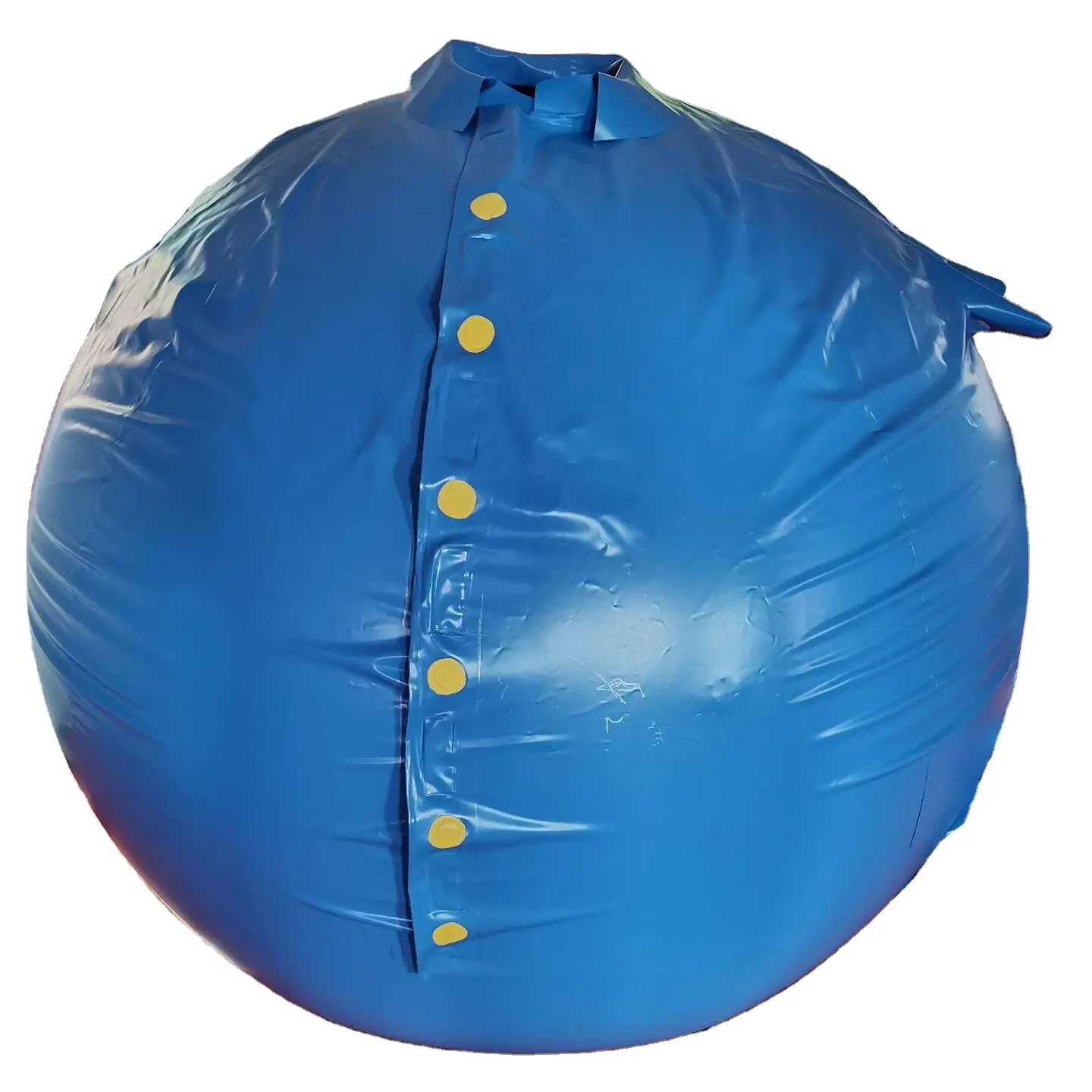 2024 nóng bán beile tùy chỉnh lớn Vòng PVC Inflatable Blueberry bóng phù hợp với cho vui