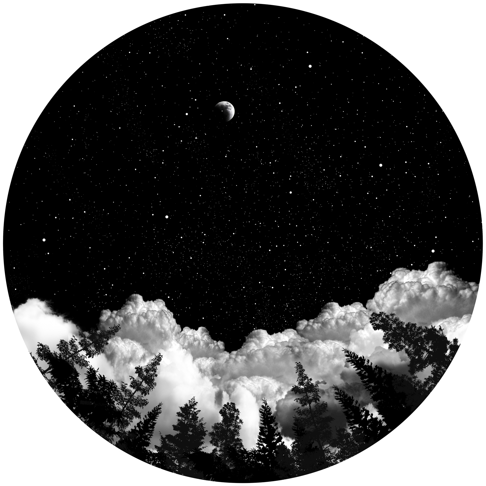 Película en blanco y negro 8