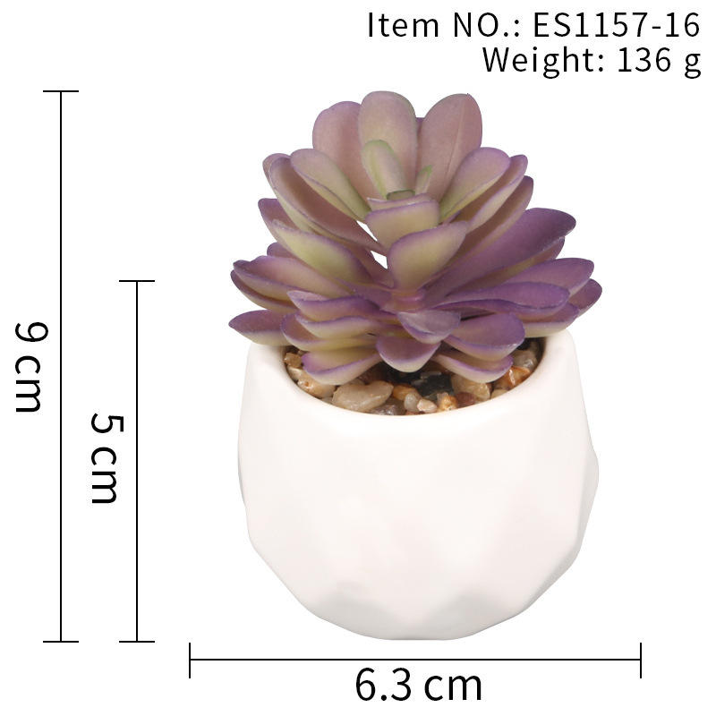Es1157-16 : la fin de la guerre
