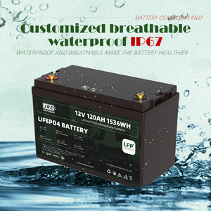 Gotion 120Ah <span class=keywords><strong>12</strong></span>.8V Solar Deep Cycle LiFePO4 batteria modello di batteria al litio JszE-LF15105ME 6000 cicli sostituire acido al piombo - Product Image 3