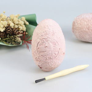 Dino yumurta kazmak kiti eğitim bilimleri kiti kök arkeoloji paleontoloji 12 dinozor yumurtaları kazı kiti ile 12 dinozor oyuncaklar - Product Image 4