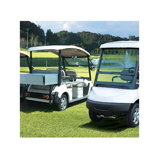 [HOWON EPS] Voiturette de golf de bus de tourisme 2 places de grand espace de haute qualité équipée de la sécurité ABS Voiturette de golf électrique KOTRA