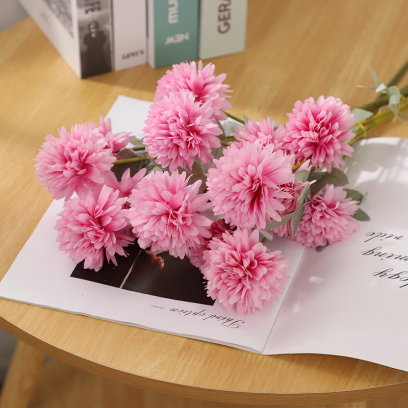 Ping Pong Chrysanthemum