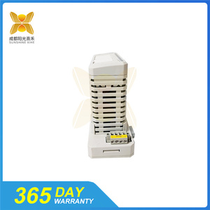 AI895 3BSC690089R1 Analog giriş modülü