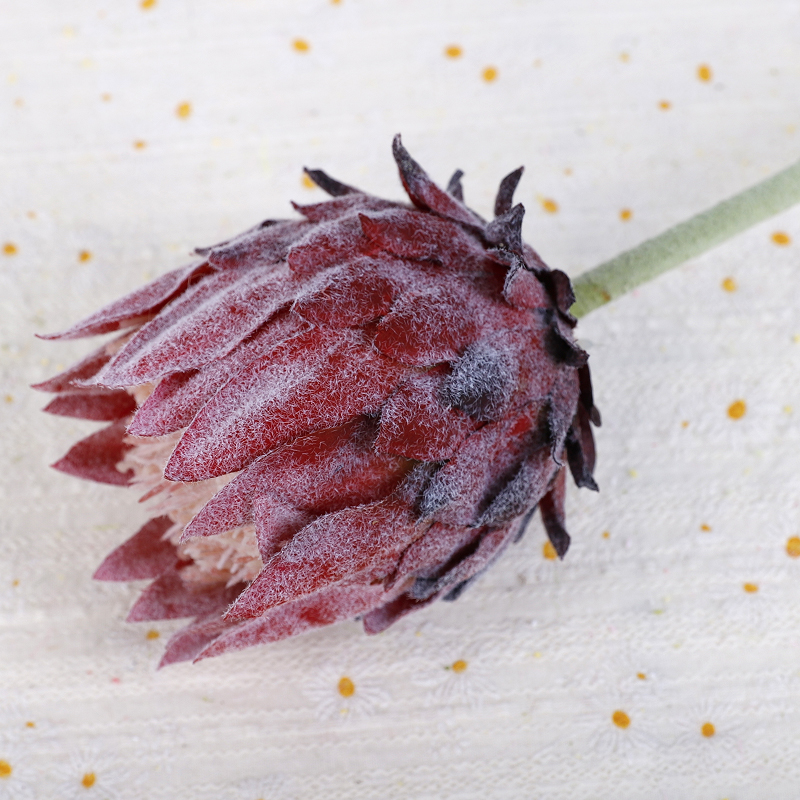 สีแดงเข้ม