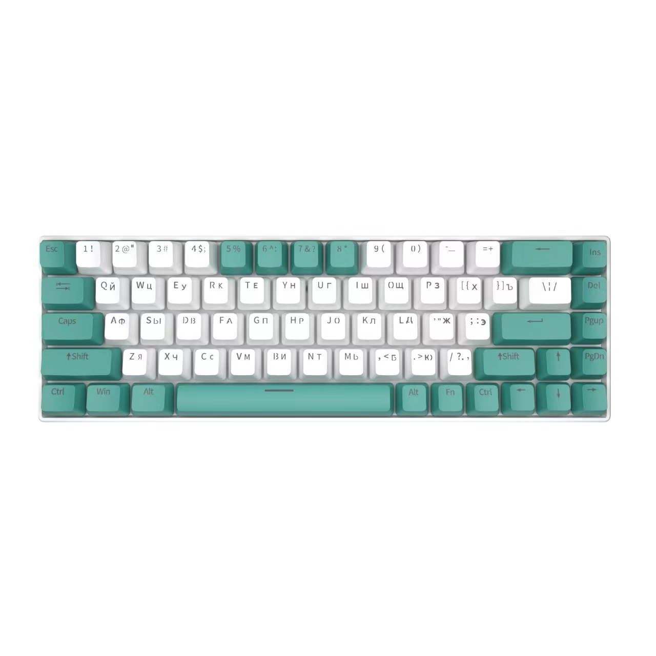 KA68 White Green