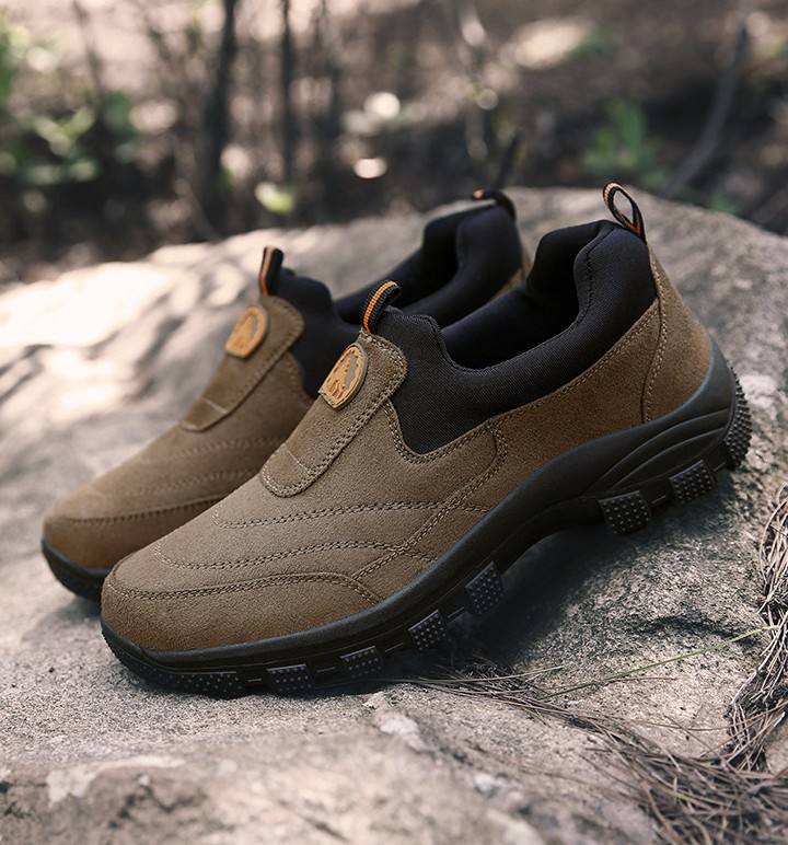 สีน้ำตาล