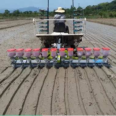 Venda direta da fábrica para o plantador da precisão do arroz/12 linhas máquina de costura do arroz com ce