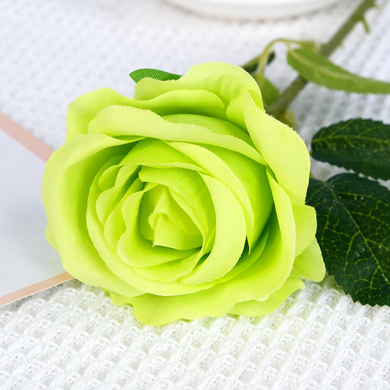 Rose-vert soleil unique