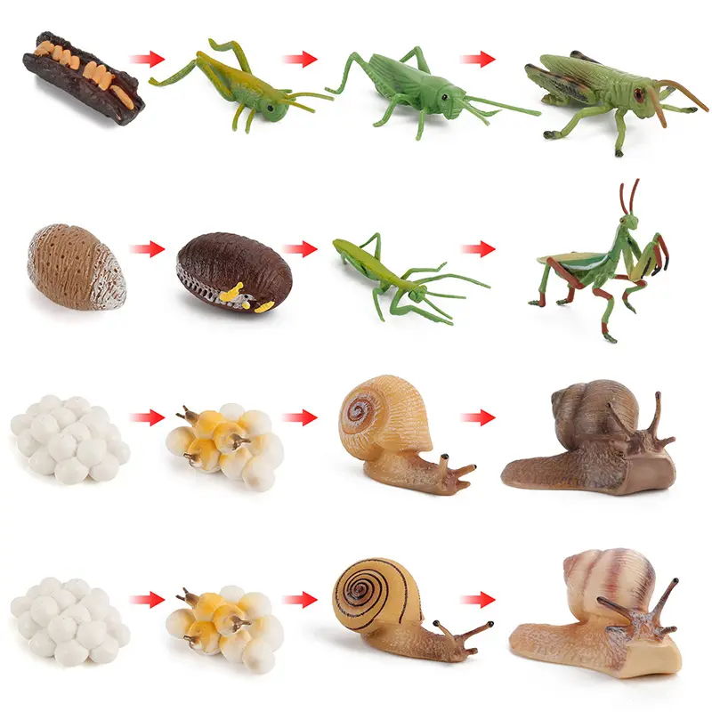 Simulación de crecimiento Animal de rana, Tortuga, Mosquito, hormiga, gallo, modelo cognitivo de vida, juguete