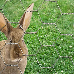 Sechseckiges Netz Geflügelfarm netz Gewebter Hühner drahtzaun Tierbarriere-Rollen netz mit Schneid verarbeitung service - Product Image 5
