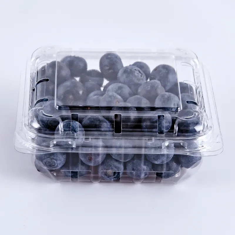 Lesui 125g Blueberry bao bì tái chế nhựa trái cây bao bì rõ ràng hộp trái cây Berry Blueberry vỏ sò container với lỗ