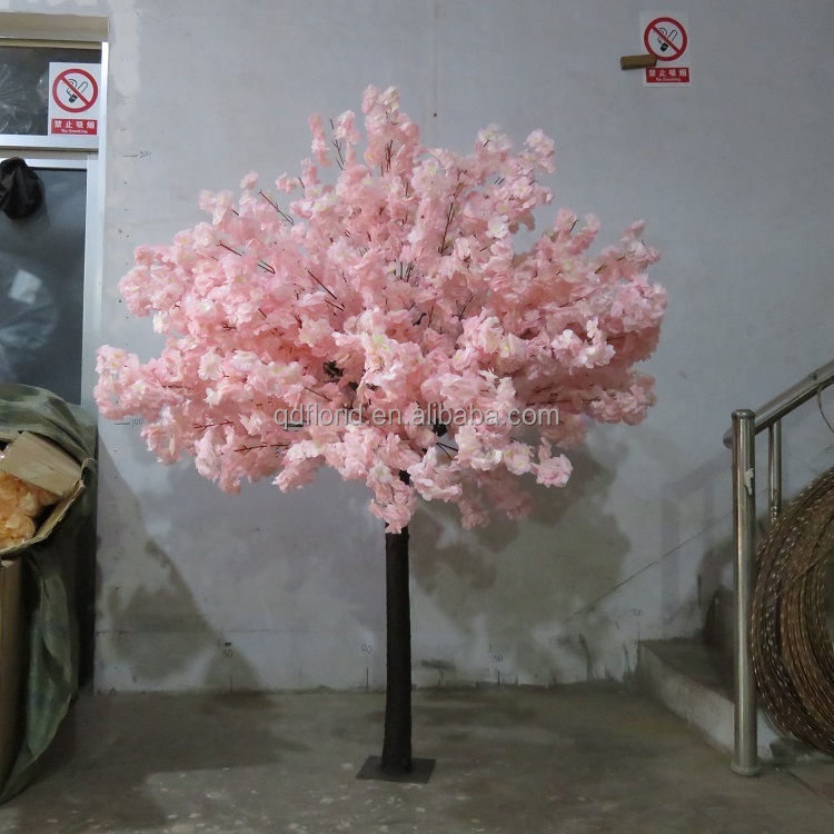 cerisier en fleurs 1