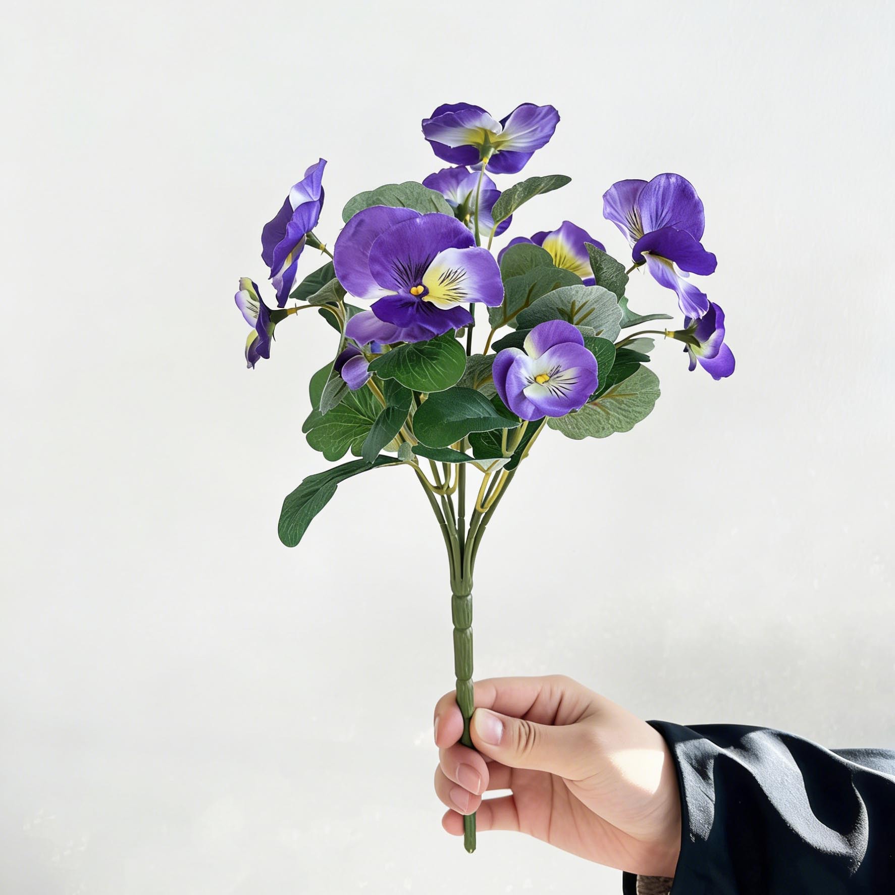 Pourpre