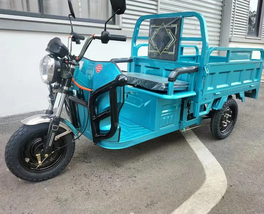 Tricycle électrique CE Chine 60V Cargo motorisé trois 3 roues Moto Cargo pour adulte