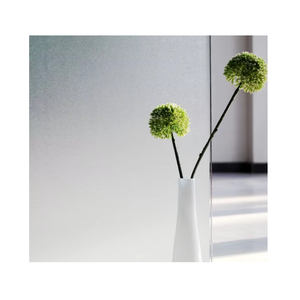 Pvc 透明静态磨砂窗贴纸 - Product Image 1