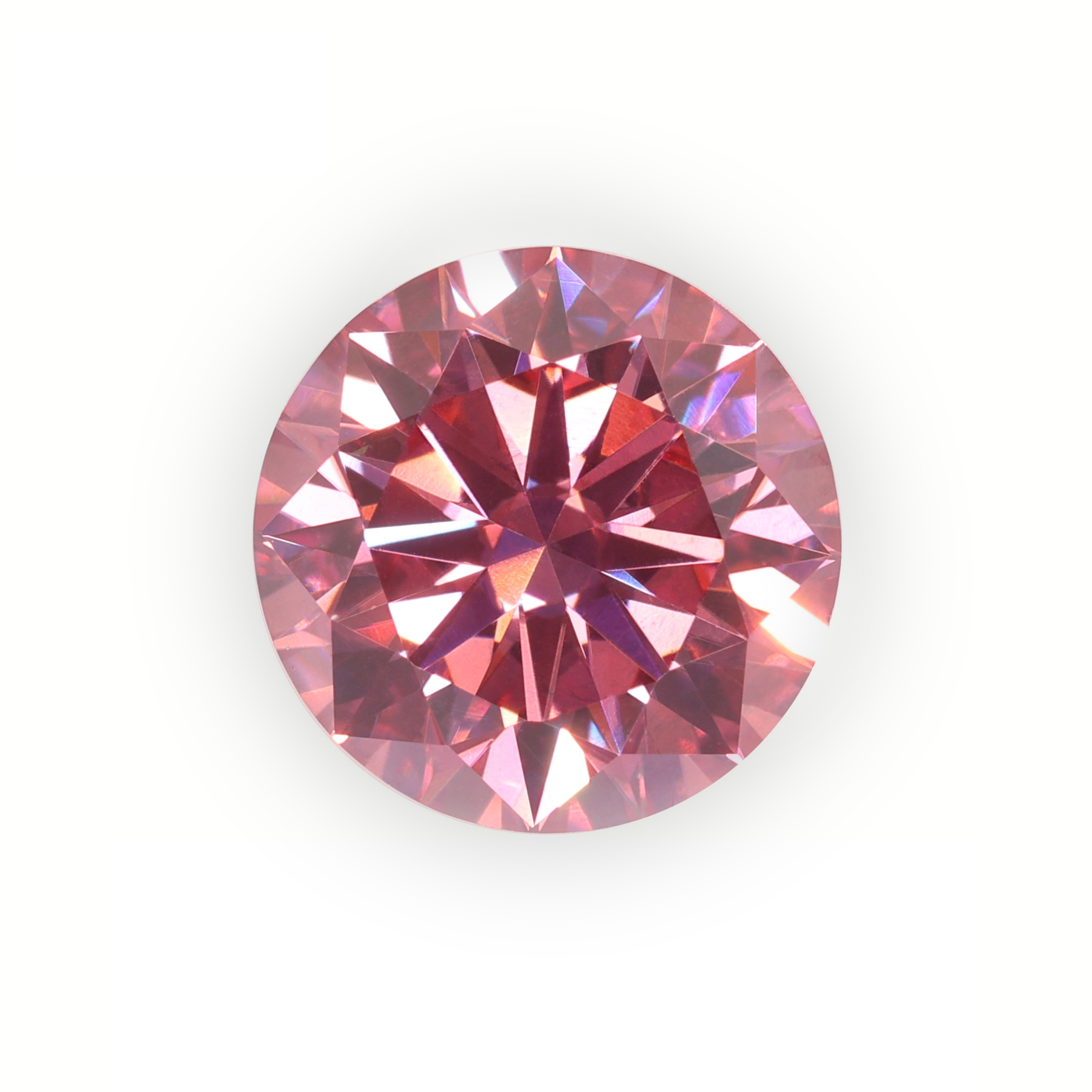 16 rosa