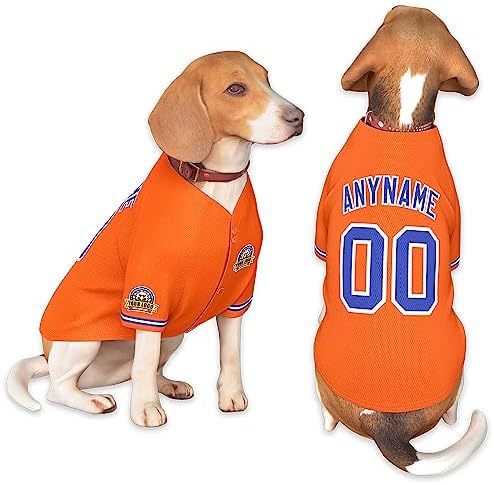 Orangeblue-28