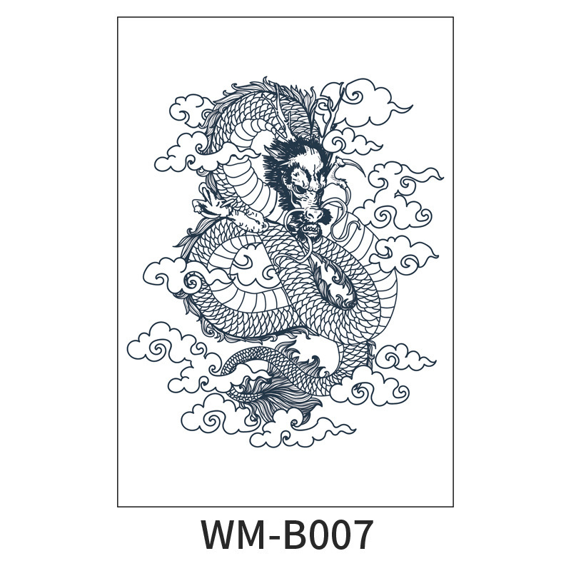 WM-B007