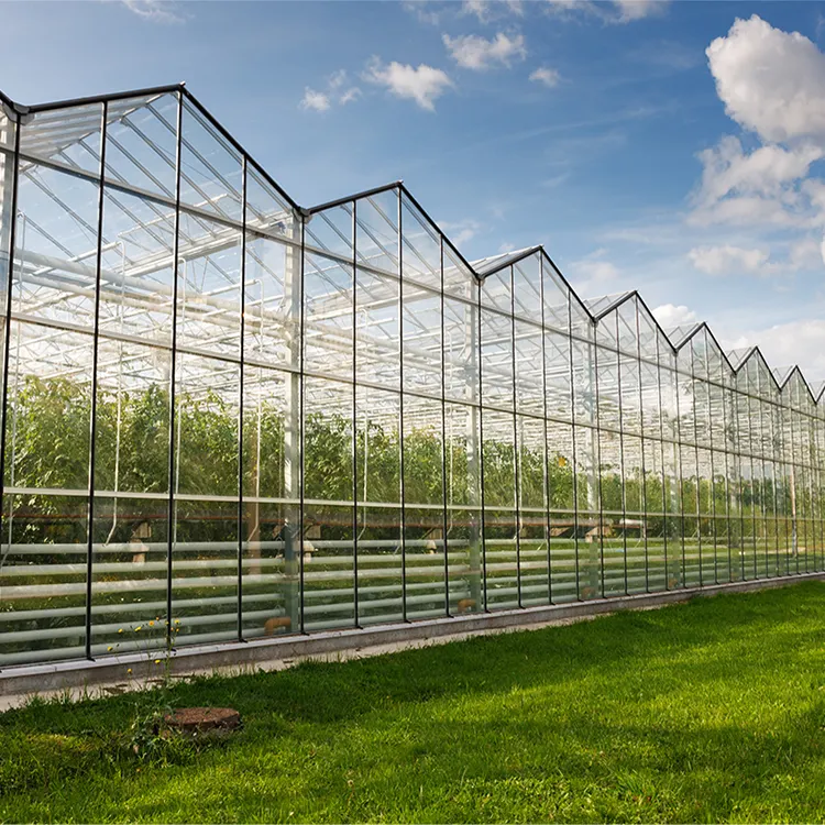 Умный садовый туннель из поликарбонатного стекла, аксессуары для теплиц, сельскохозяйственная рама для теплиц
