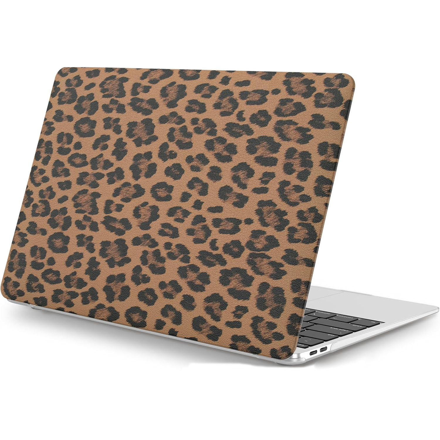 leopardo