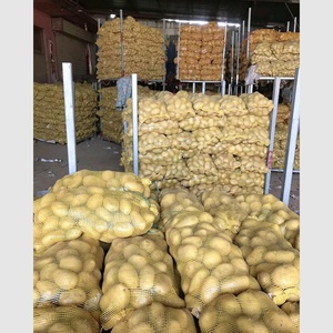 Sıcak satış toptan profesyonel patates ihracatçısı küresel boşluk ile yüksek kaliteli toplu patates & Haccp ve ucuz fiyat gemi hazır - Product Image 6