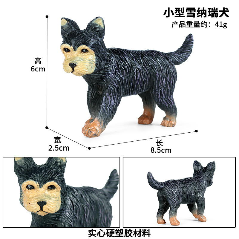 Schnauzer pequeño zjs-149