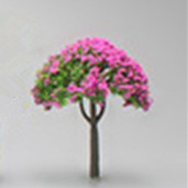 Pink star tree