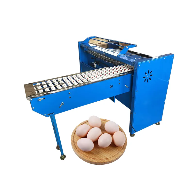 Clasificación de peso de huevos de pollo, máquina de embalaje de clasificación de huevos, 5400 piezas/hr