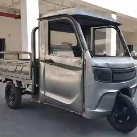 2024 nouveauté Elion S2 tricycle cargo électrique avec grande capacité EEC