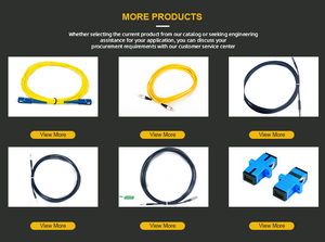 SC APC konnektörü ile 2025 sıcak satış tek modlu Fiber optik Pigtail PLC optik Splitter 2-Core için FTTH & 4G/3G ağ kullanımı - Product Image 2
