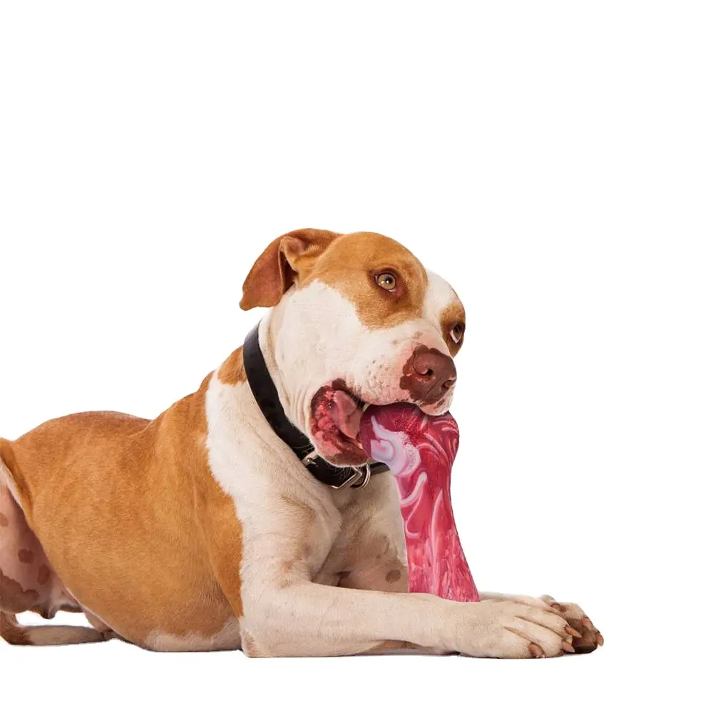 噛む人のためのペットの犬の骨の噛むおもちゃディスペンシング耐久性のあるゴム製歯ブラシクリーニングおもちゃ子犬の噛む用品犬のアクセサリー