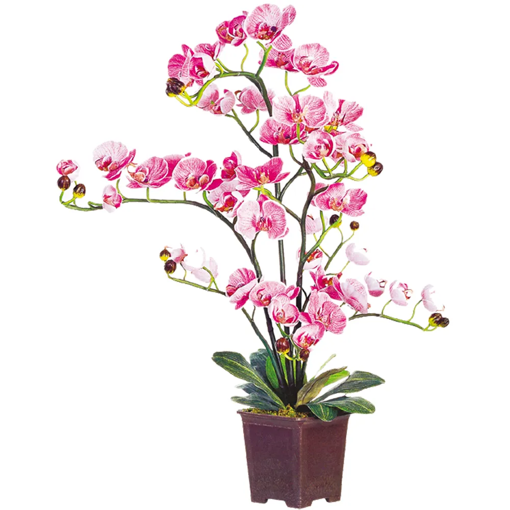 Flores artificiales de orquídeas para interior, bonsái decorativo personalizado, venta al por mayor