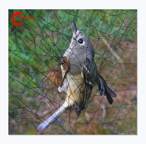 Trampa de red para pájaros, red Invisible de HDPE verde antiaves para atrapar pájaros - Product Image 1