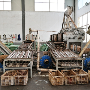 Fully Automatic Steaming Peeling Grading <strong>Sorting</strong> Cooking Crusher Cashew Nut <strong>Shelling</strong> Processing <strong>Machine</strong> Production Line - Product Image 6